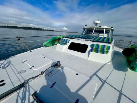 Endeavour 44 Trawler Catamaran image