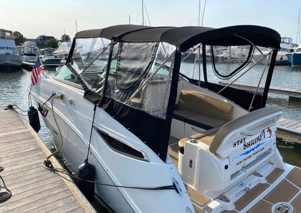 Sea Ray Sundancer 260 image