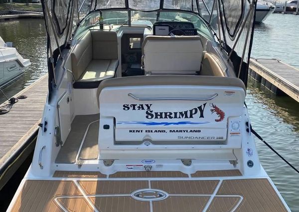 Sea Ray Sundancer 260 image