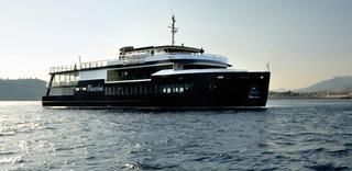Custom Passenger Cruise Ship image