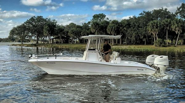 Sea Cat 260 Hybrid