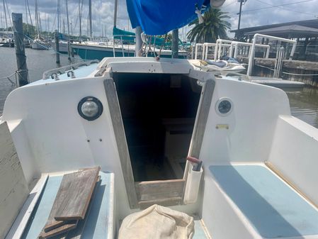 Ranger 23 image