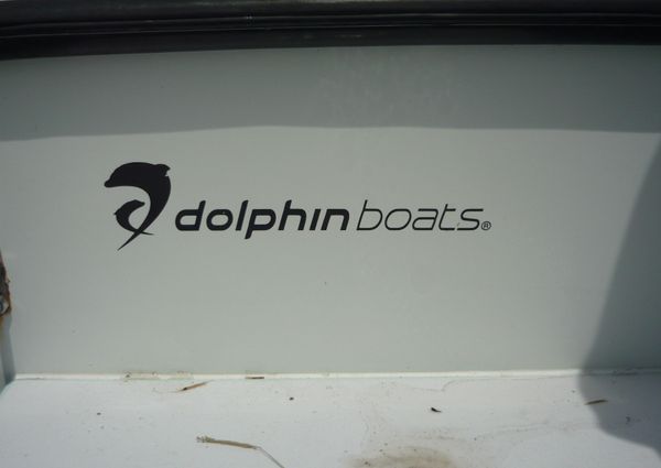 Dolphin 22 image