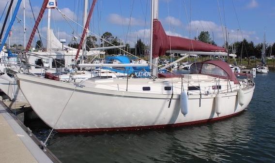 Turner 37