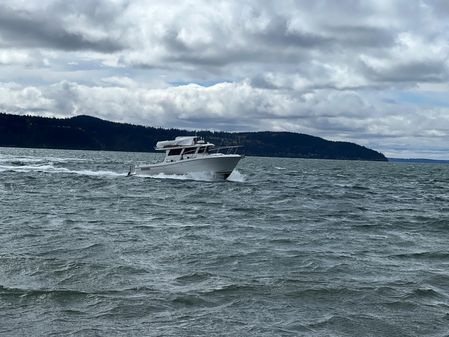 Ocean Sport Roamer image