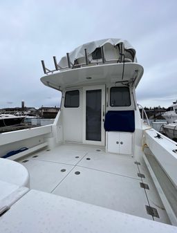 Ocean Sport Roamer image