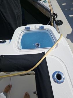 Boston Whaler 420 Outrage image