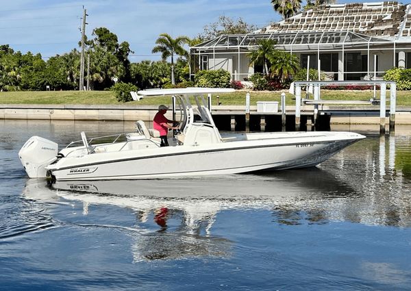 Boston Whaler 270 Dauntless image