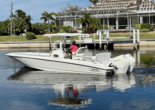 Boston Whaler 270 Dauntless image