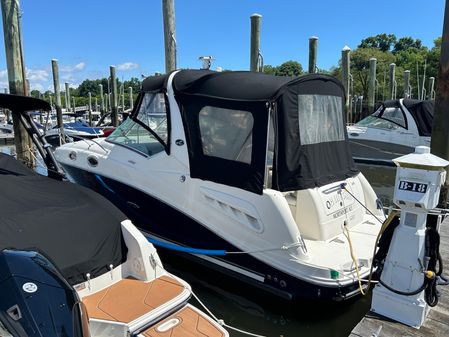 Sea-ray 260-SUNDANCER image