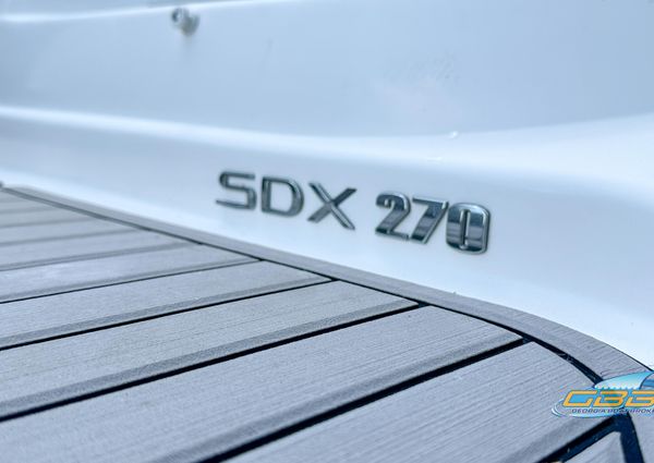 Sea-ray SDX-270-OUTBOARD image