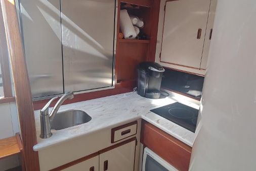 Bertram 38-SPECIAL image