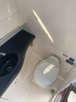 Boston Whaler 305 Conquest image