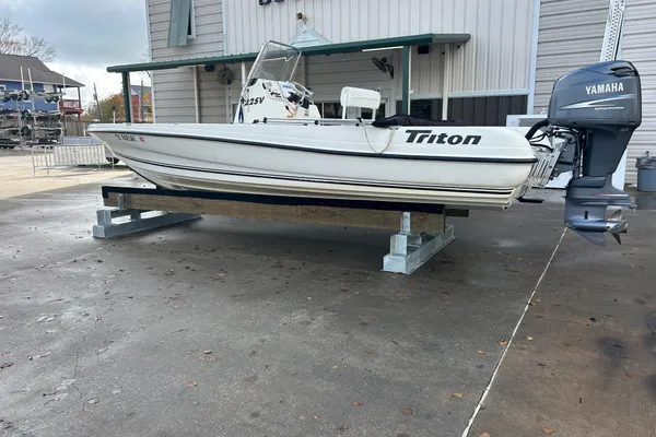 Triton 22 Bay Flight image