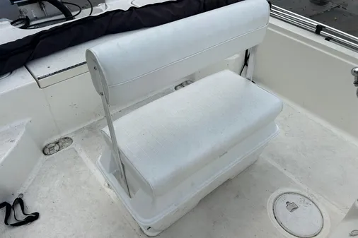 Triton 22 Bay Flight image