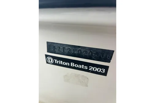 Triton 22 Bay Flight image