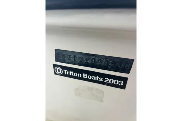 Triton 22 Bay Flight image