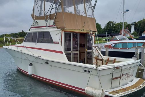 Viking 35 Convertible image