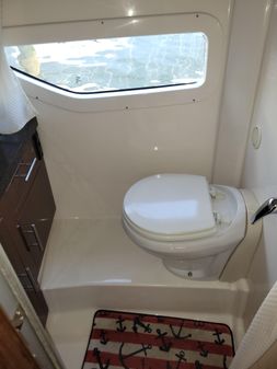 Regal 320 EXPRESS CRUISER image