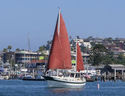 Banjer 37 image