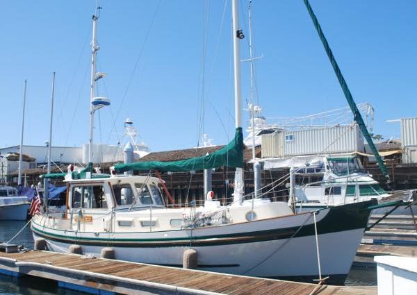 Banjer 37 image