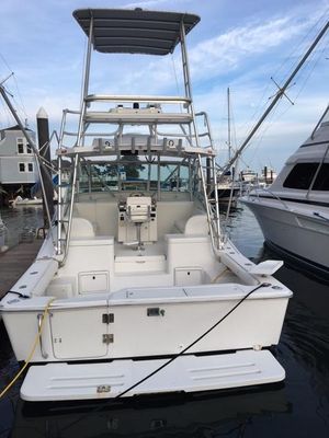 Luhrs Open Express - main image