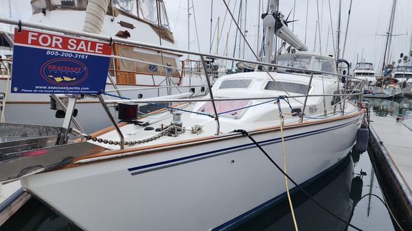 Catalina Morgan 440
