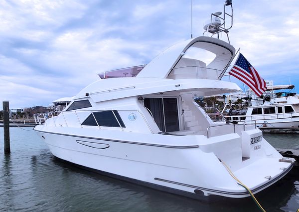 Neptunus 47 Flybridge image