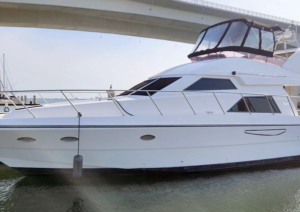 Neptunus 47 Flybridge image