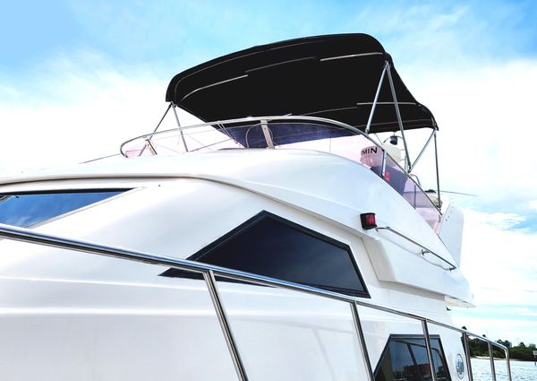 Neptunus 47 Flybridge image