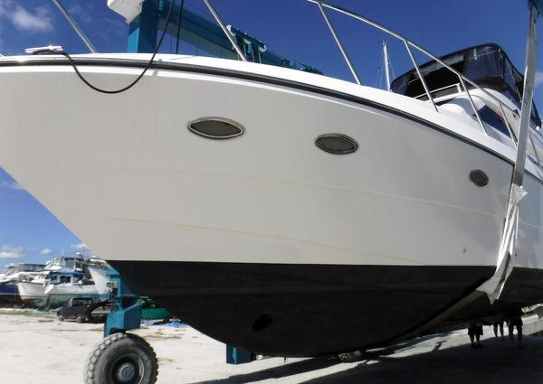 Neptunus 47 Flybridge image