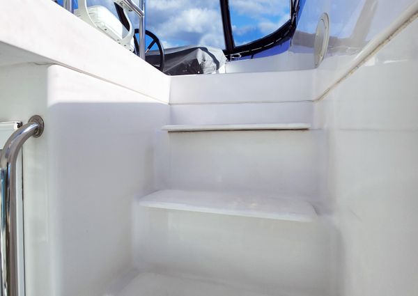 Neptunus 47 Flybridge image