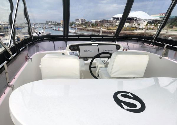 Neptunus 47 Flybridge image