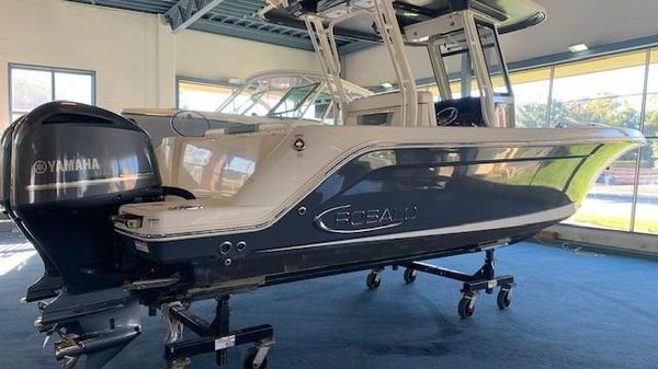 Robalo 272