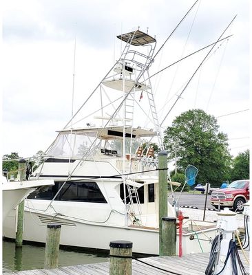 Viking 53 Convertible - main image