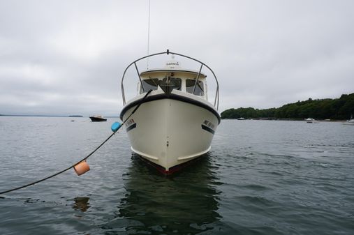 Rosborough RF-246 Custom Wheelhouse image