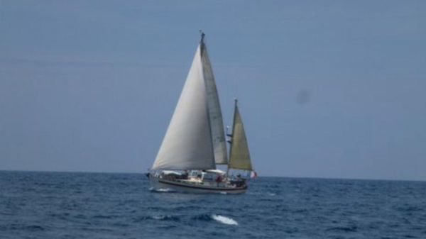 Salar 40