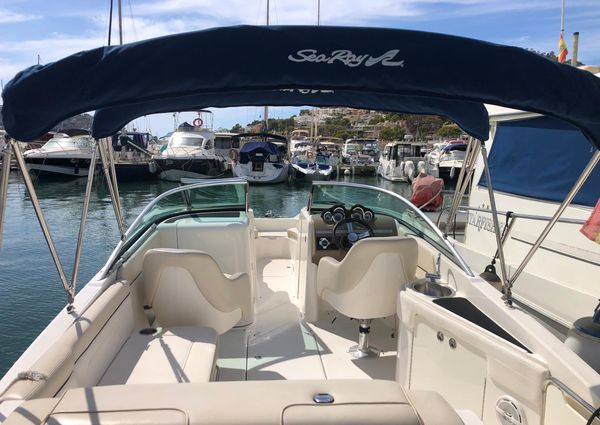 Sea-ray 260-SD image