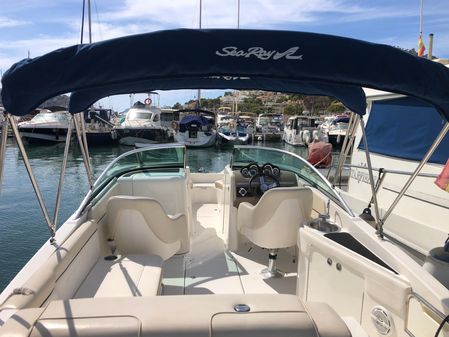 Sea-ray 260-SD image