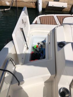 Sea-ray 260-SD image