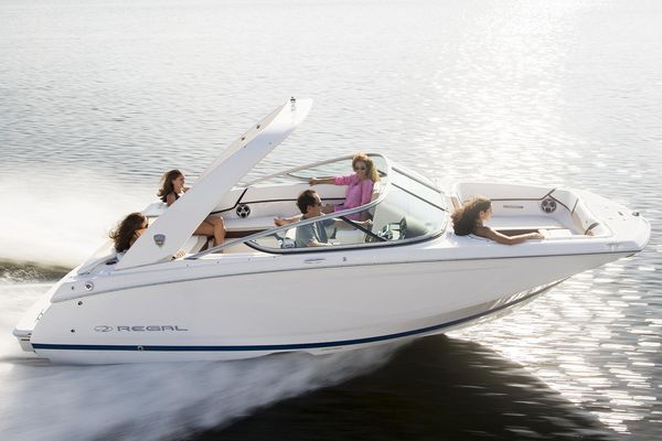 Regal 22 FasDeck - main image