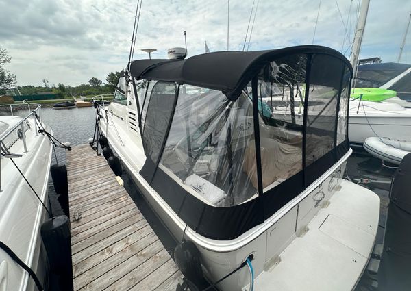 Sea-ray 340-AMBERJACK image