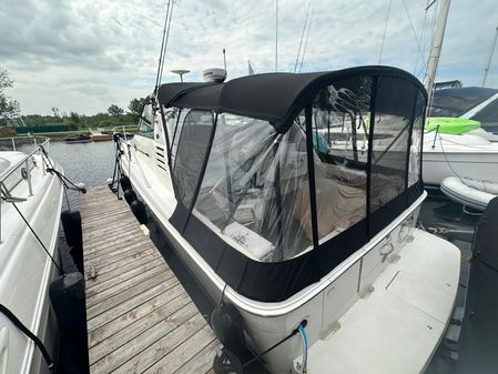 Sea-ray 340-AMBERJACK image