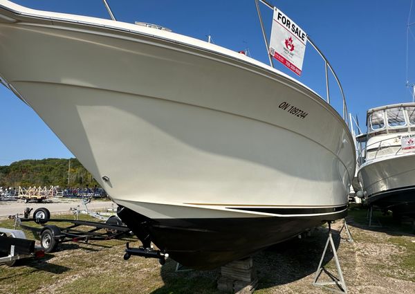 Sea-ray 340-AMBERJACK image