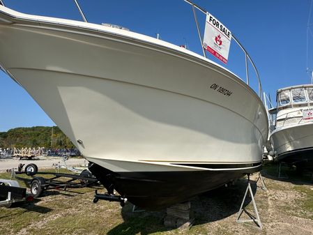 Sea-ray 340-AMBERJACK image