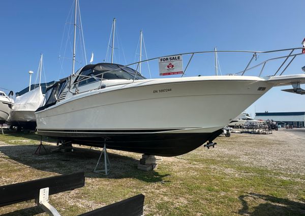 Sea-ray 340-AMBERJACK image