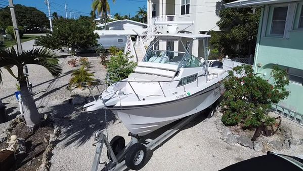 Grady-white 272-SAILFISH image