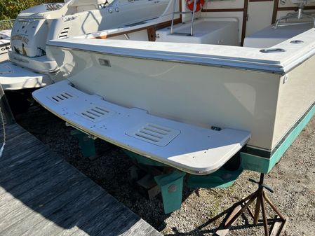 Blackfin 29 Flybridge image