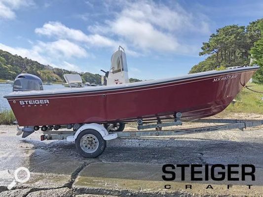 Steiger-craft 19-CENTER-CONSOLE - main image