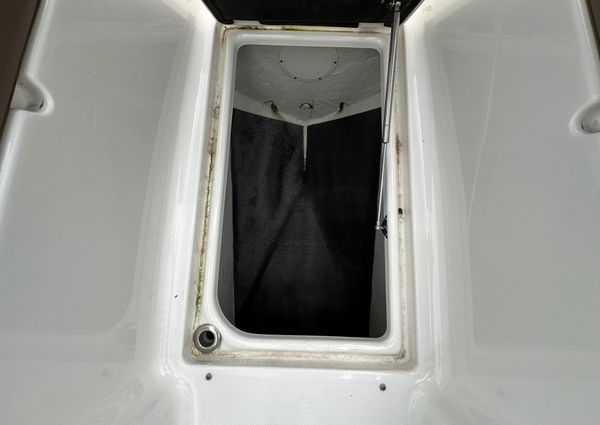 Chaparral 307 SSX image